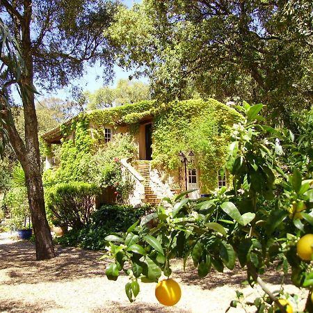 Bed and Breakfast Le Bastidon Saint-Michel Sainte-Maxime Zewnętrze zdjęcie