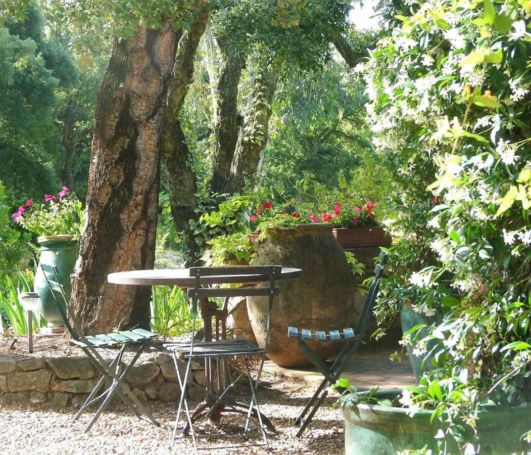 Bed and Breakfast Le Bastidon Saint-Michel Sainte-Maxime Zewnętrze zdjęcie
