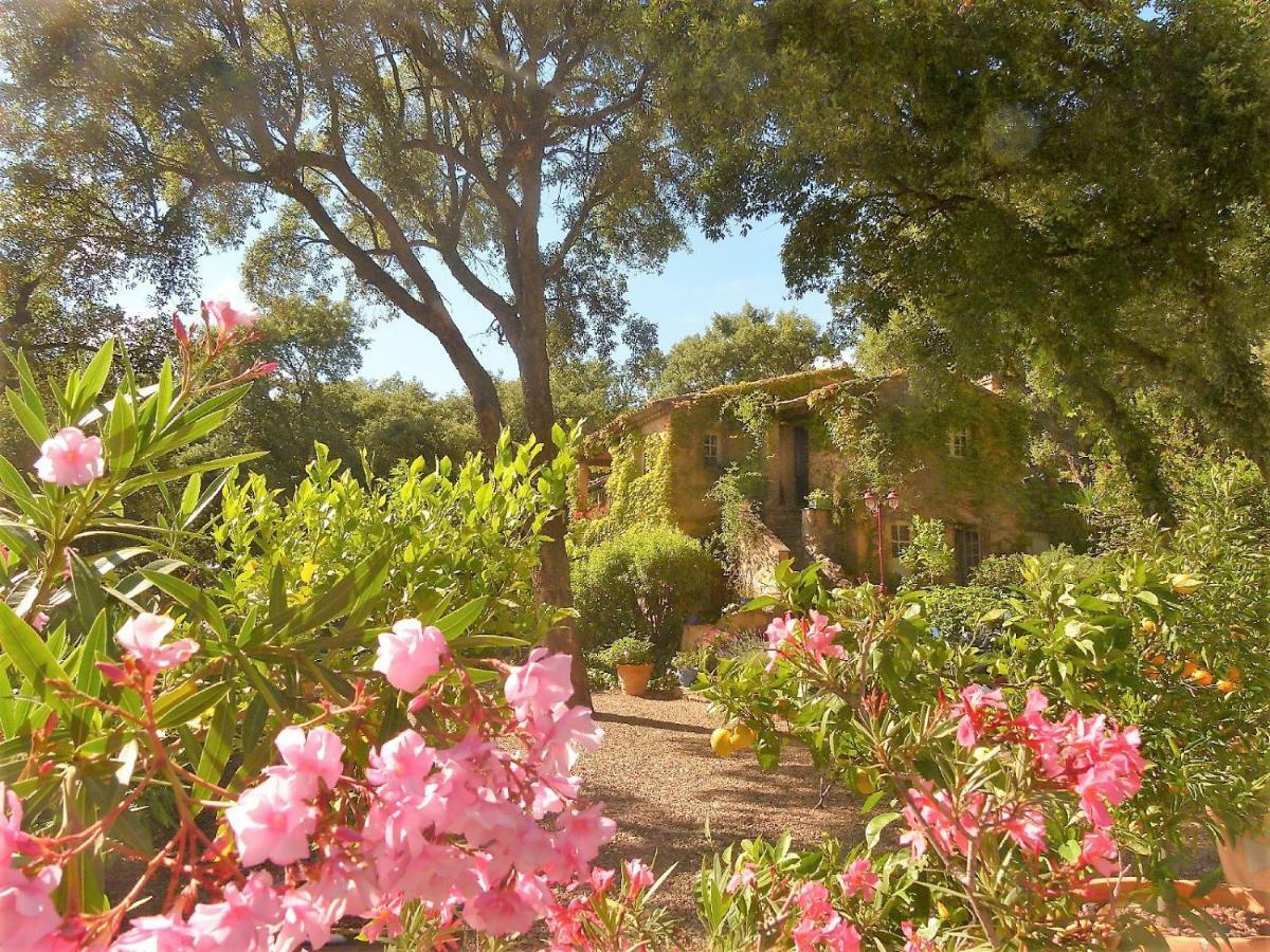 Bed and Breakfast Le Bastidon Saint-Michel Sainte-Maxime Zewnętrze zdjęcie
