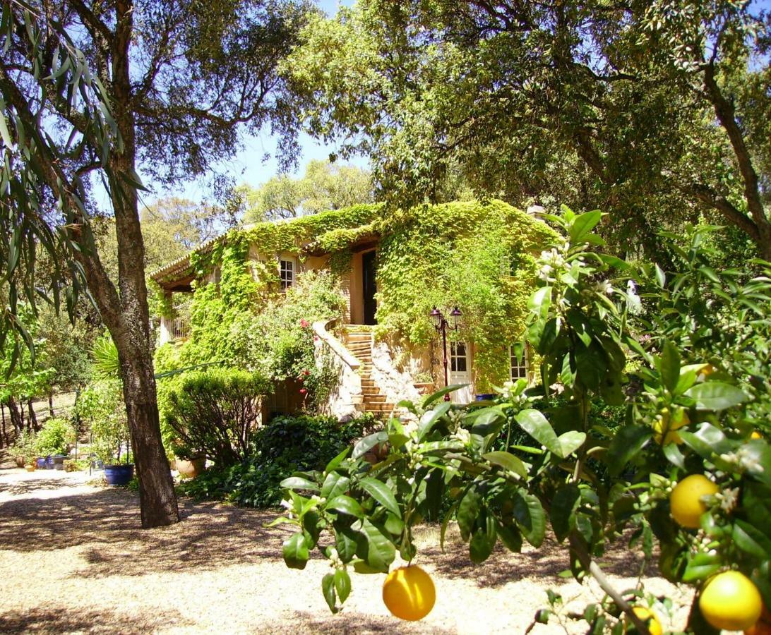 Bed and Breakfast Le Bastidon Saint-Michel Sainte-Maxime Zewnętrze zdjęcie