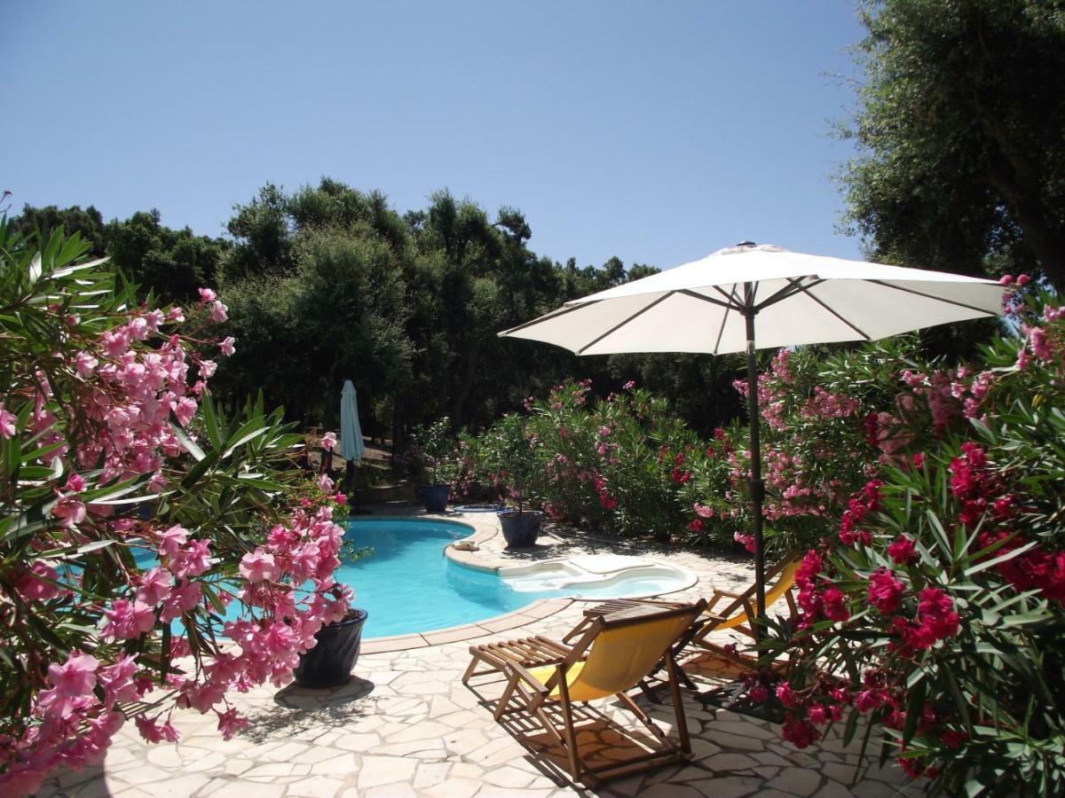 Bed and Breakfast Le Bastidon Saint-Michel Sainte-Maxime Zewnętrze zdjęcie